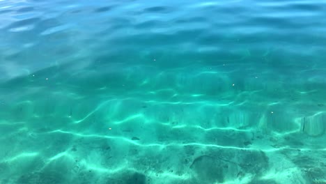 limpie las olas de agua turquesa suave con algunas hojas en la superficie del lago nahuel huapi en la patagonia argentina