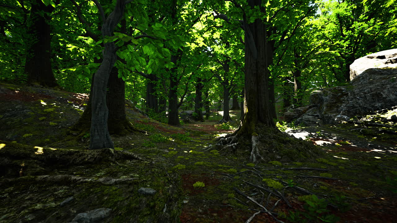 un camino iluminado por el sol a través de un denso bosque de musgo
