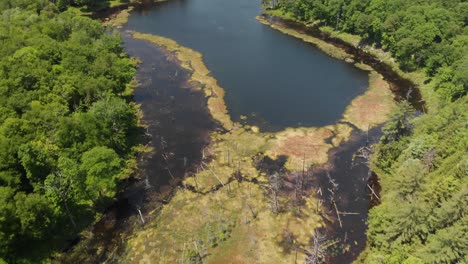 Slow-aerial-reveal-above-Mud-Lake-in-New-York-Adirondack-Mountains