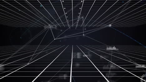 animación de la red de conexiones y estadísticas sobre la red