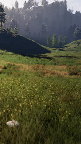 serene meadow landscape with wildflowers and forest hills