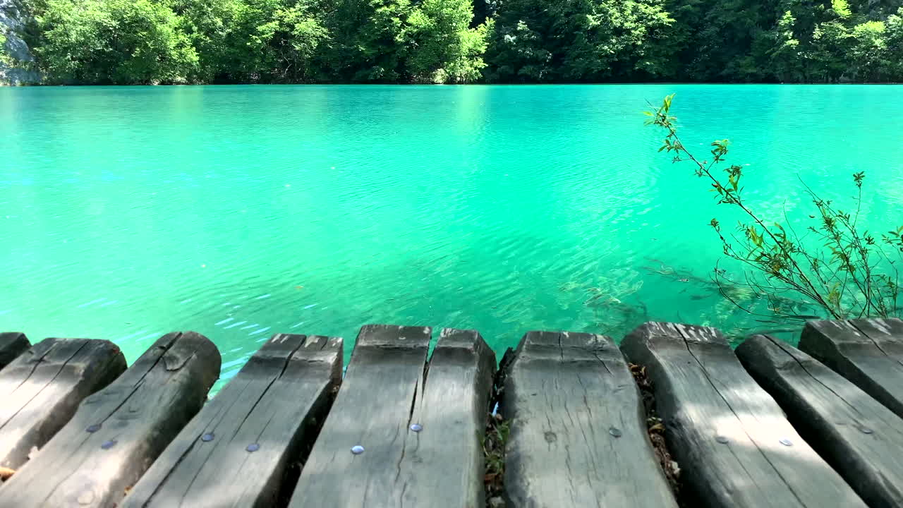 크로아티아의 플리트비체 호수에 물고기가 있는 푸른 맑은 물 위의 나무 산책로에서 전망