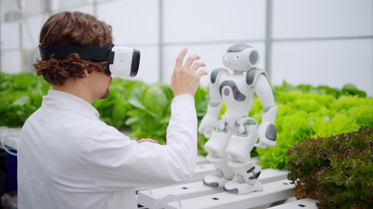 Laboratory technician in a white coat wearing virtual reality headset interacting with humanoid robot near different types of lettuce in a greenhouse farm