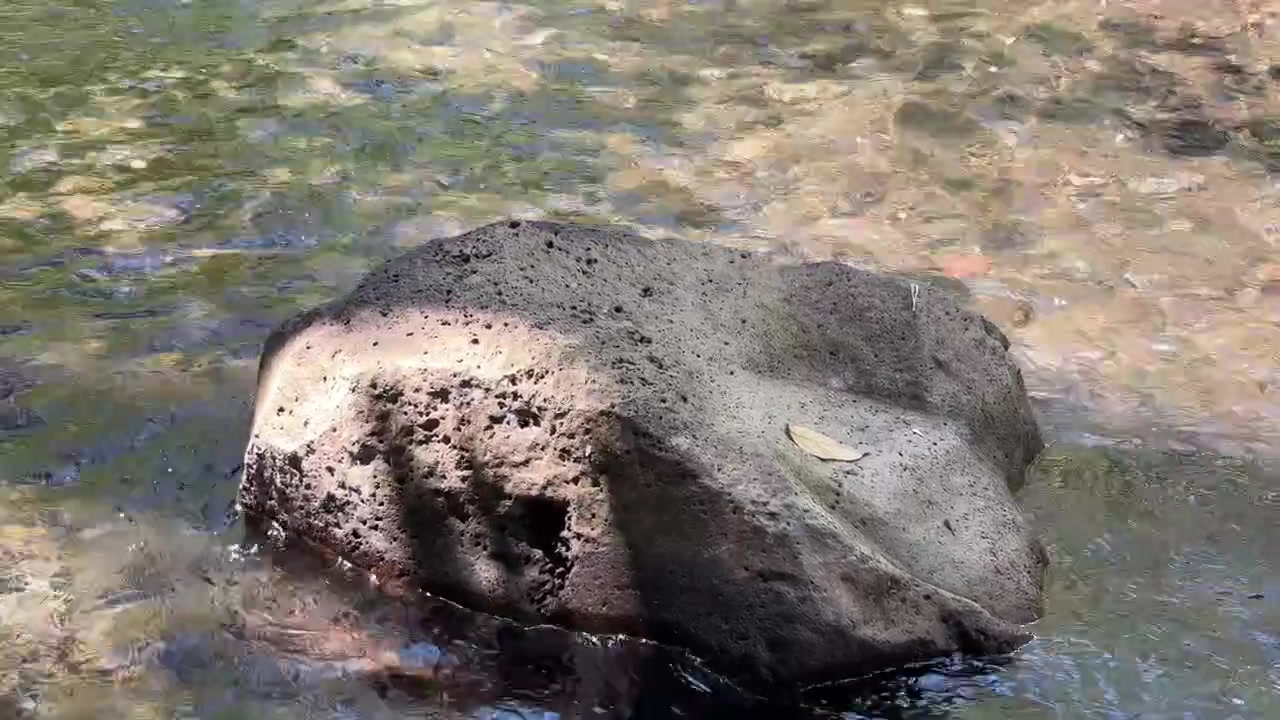 Acqua Limpida che Scorre Intorno a una Grande Roccia Vulcanica in un Ruscello