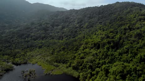 4k drone vuelo selva tropical y río negro