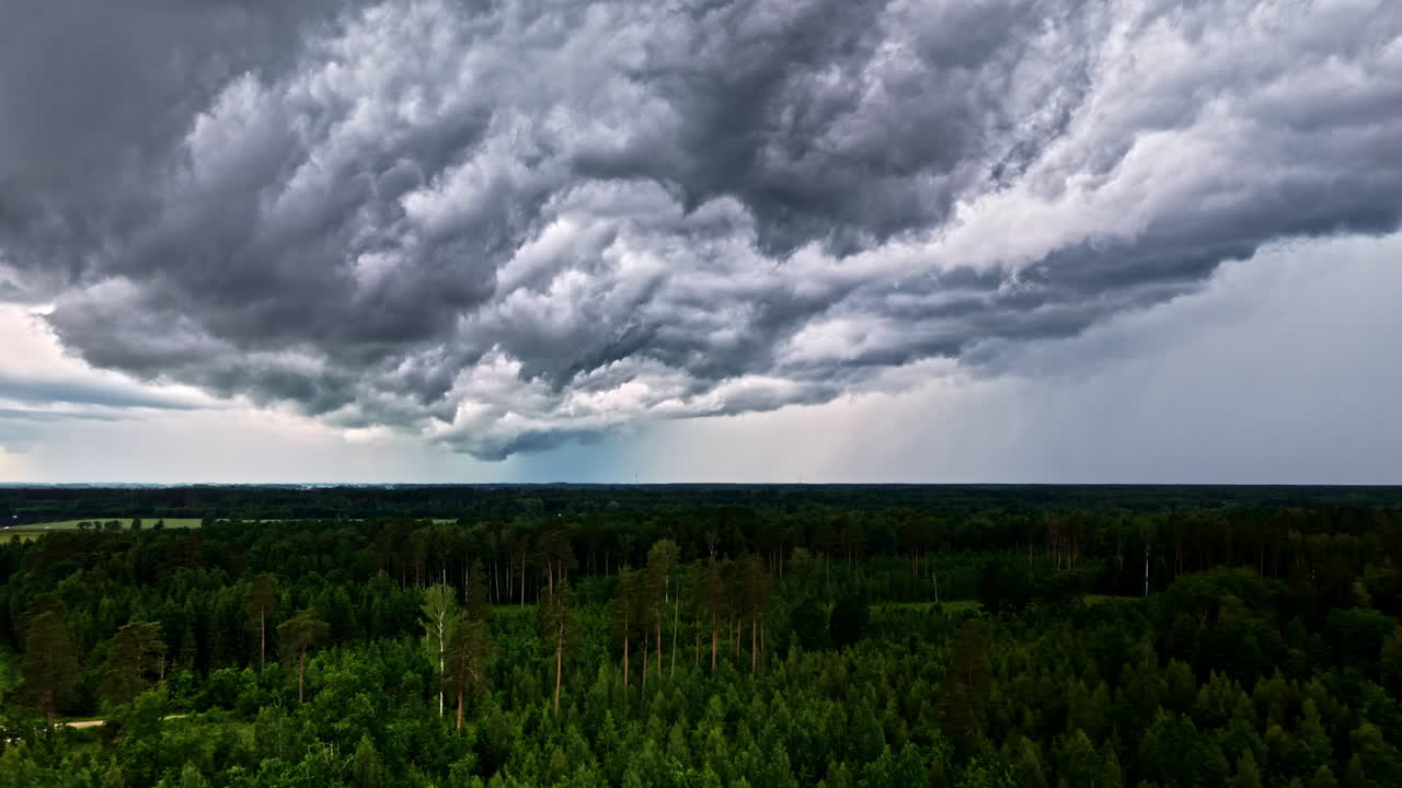 Nubi temporalesche scure che si addensano su una fitta foresta mentre in lontananza si forma una pioggia intensa, creando dall'alto un momento meteorologico intenso e drammatico