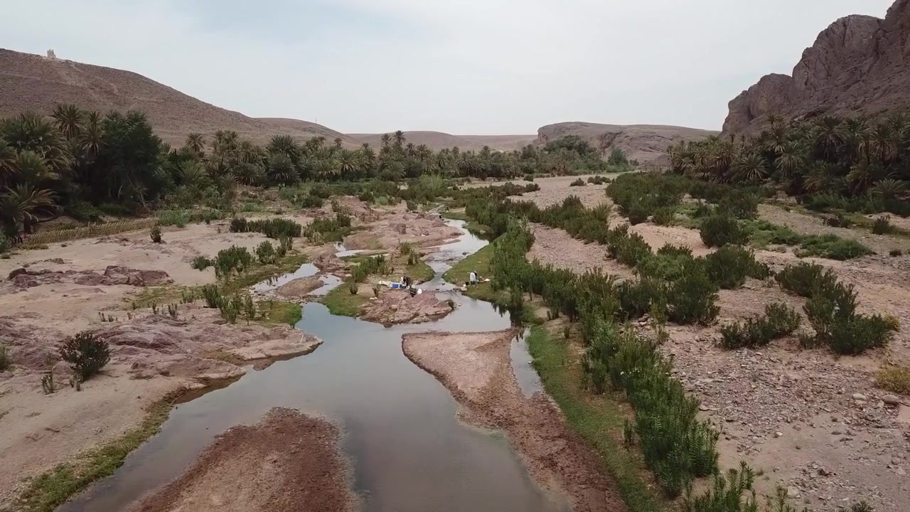 Riprese aeree con drone di un fiume calmo che scorre attraverso un paesaggio di oasi naturale in Marocco. I riflessi sull'acqua e la vegetazione circostante creano una scena cinematografica pacifica, ideale per la natura e il relax.