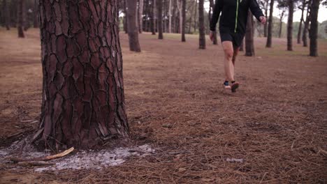slow motion man walking with pine tree forest surrounding him