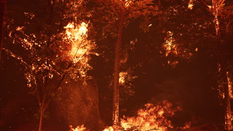 large flames of forest fire at night