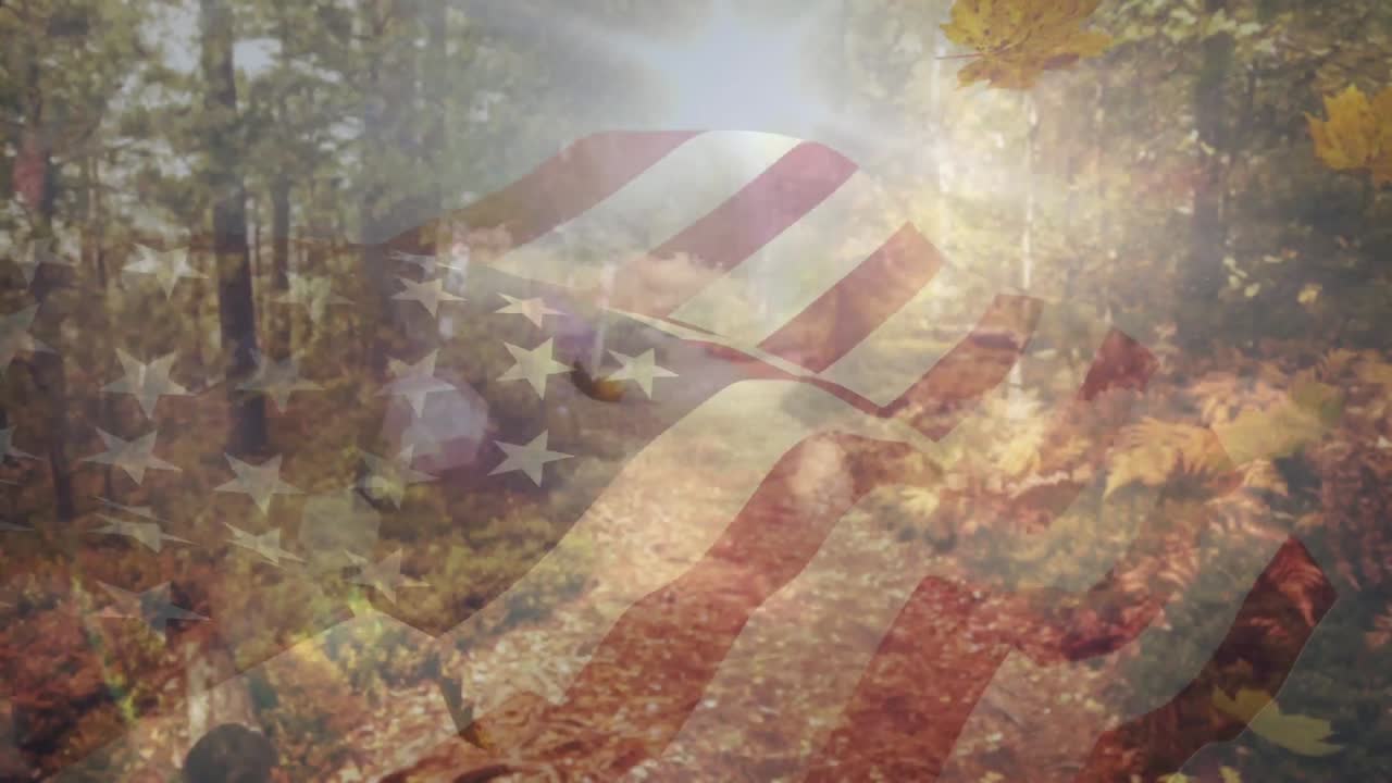 Digital composition of brazil waving flag over autumn leaves falling against forest pathway