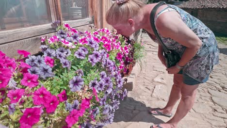 mujer que huele a flor de verano perfumada creciendo en el contenedor de la caja de la ventana