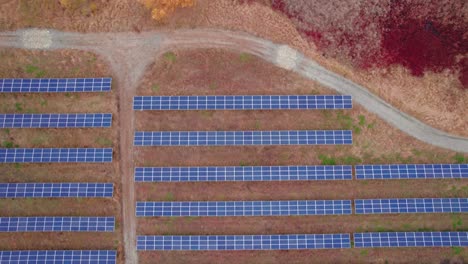 top down of solar panels installed in a pattern grid