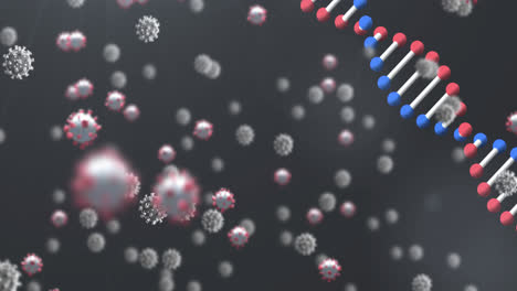 Animation-of-covid-19-cells-and-dna-strand-spinning