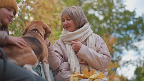 smiling woman in cozy pink coat and thick scarf raises hand holding treat while playful beagle sits alert on bench, surrounded by golden leaves and vibrant fall foliage in serene outdoor setting