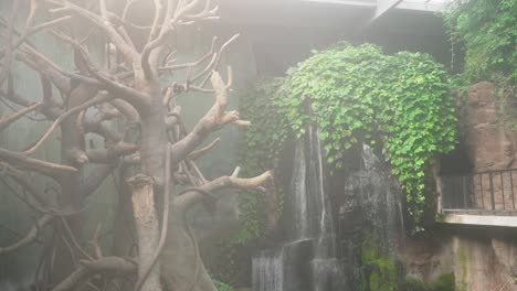 indoor artificial waterfall at omaha's henry doorly zoo with an ahmospheric fog, dry and green trees