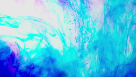 pintura o tinte púrpura y azul caído en el agua contra un fondo blanco para crear un fondo de humo colorido giratorio 6