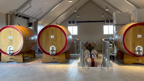 panning view around cellar with wine barrels in aging process and natural light