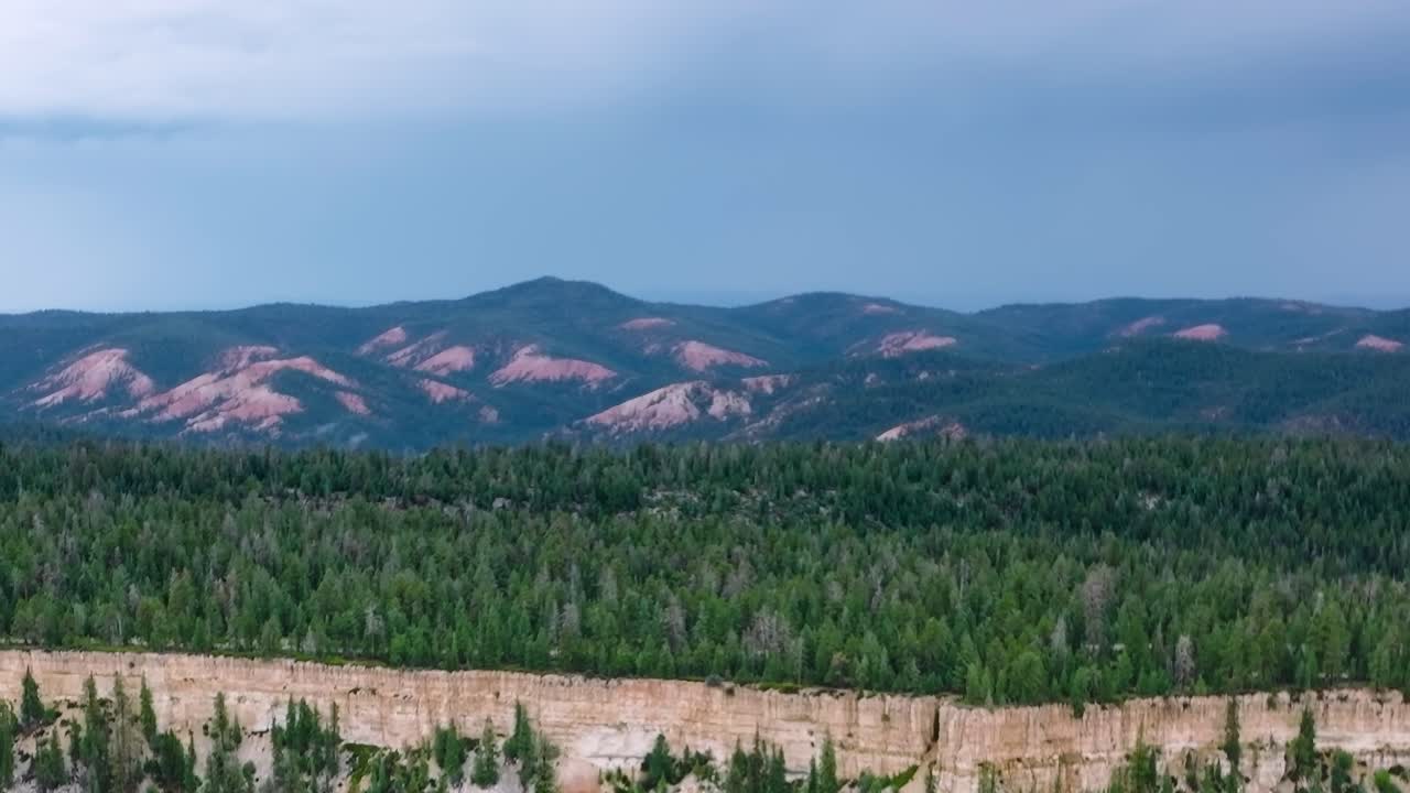 Vista di montagne e foresta nel Mojave, USA di giorno