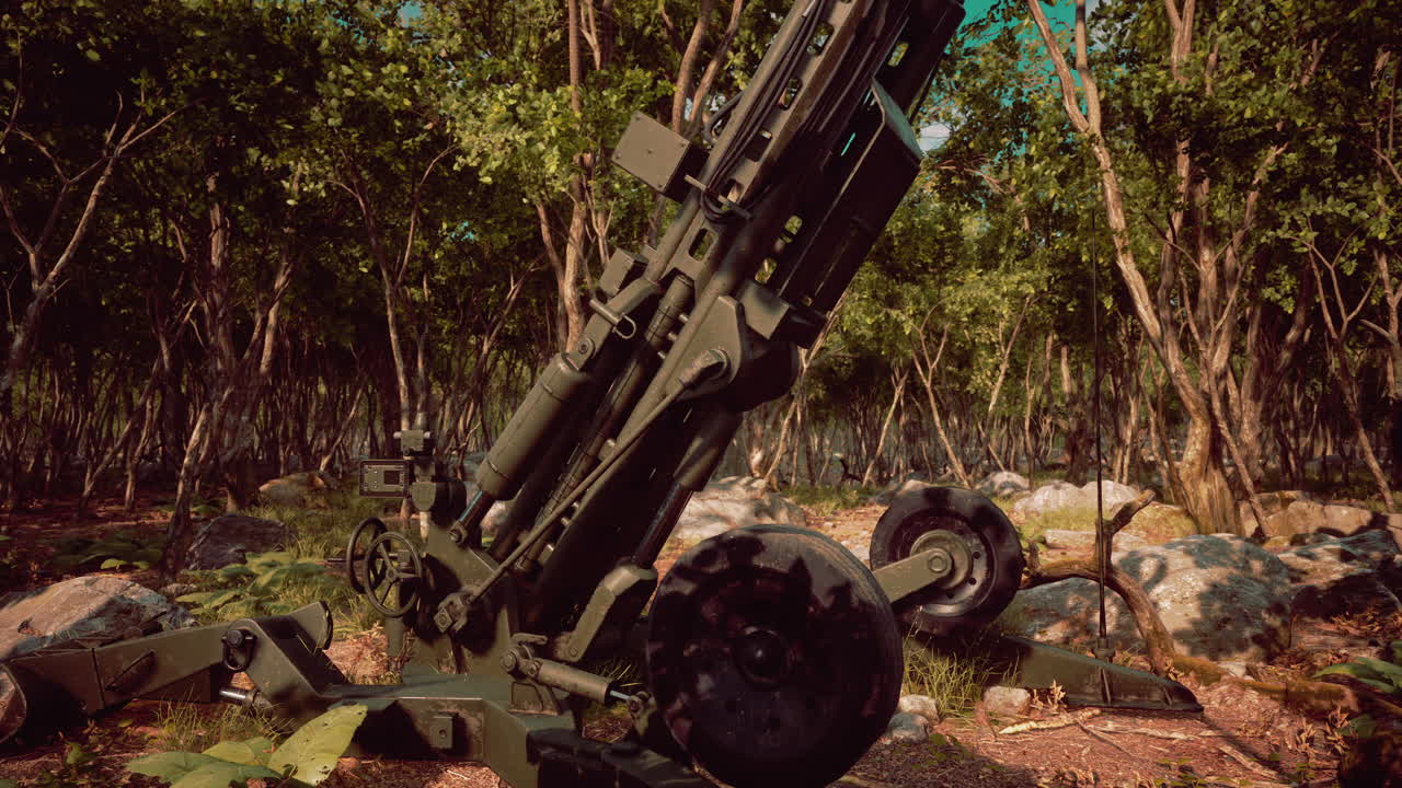 gran cañón en el bosque