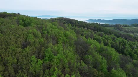 Vista-Aérea-Del-Terreno-De-La-Cordillera-Del-Bajo-Tatra,-Con-Sus-Densos-Bosques,-Ríos-Sinuosos-Y-Pintorescos-Valles