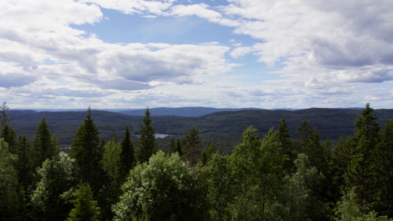 Norwegian conifer forest stretches toward distant hills and a small lake under a bright, cloud-filled summer sky, useful as calm nature b-roll or landscape establishing shot.