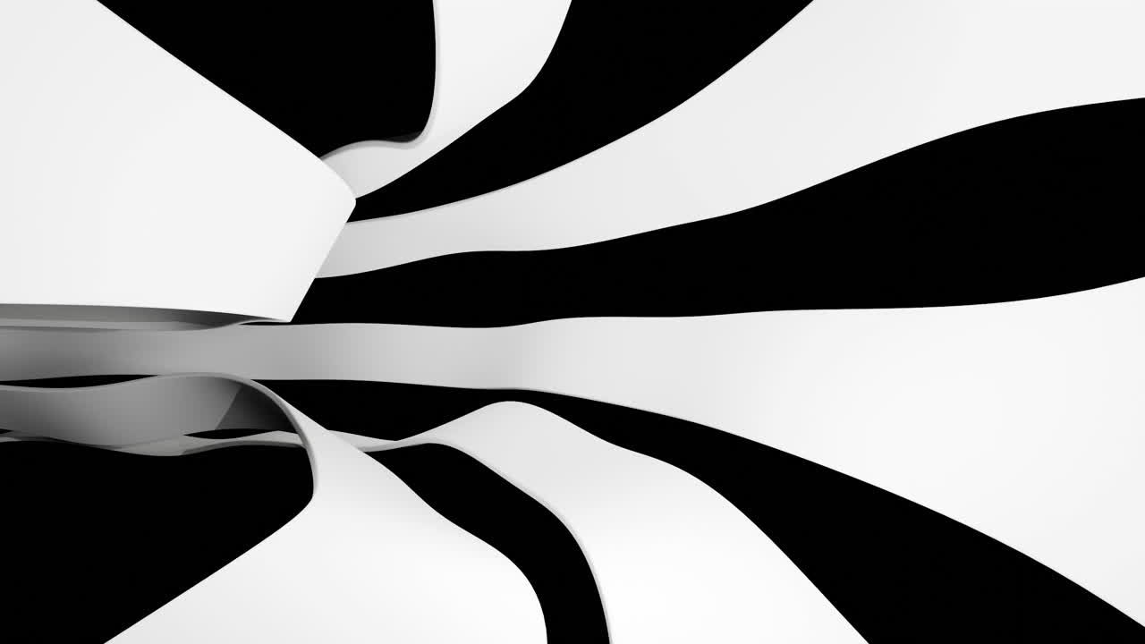 Dynamic Abstract Black and White Curves