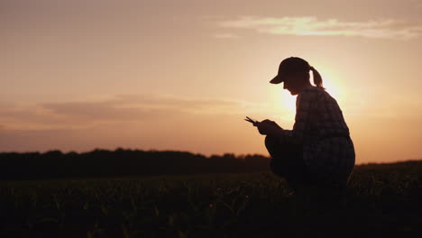 una agricultora está trabajando en el campo al atardecer estudiando brotes de plantas fotografiándolos usando en