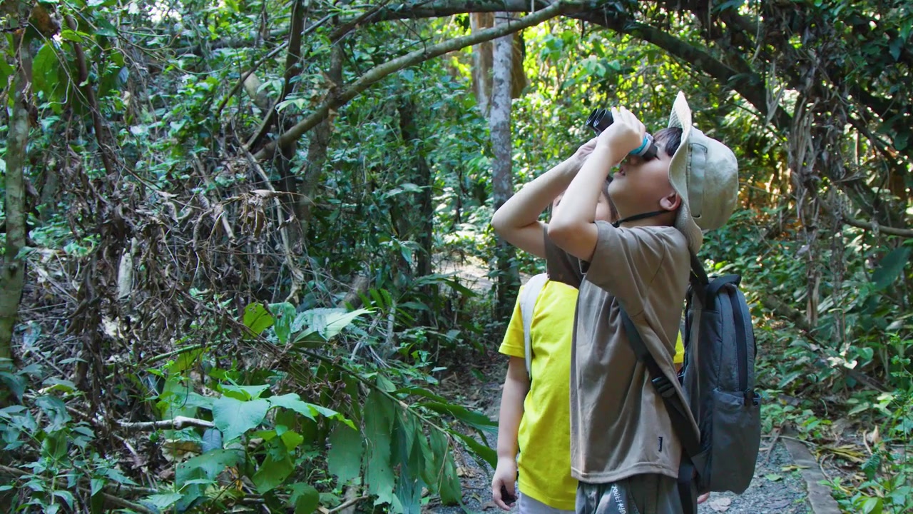 Un niño y una niña pequeños exploran un sendero frondoso en el bosque mientras usan binoculares y llevan mochilas.