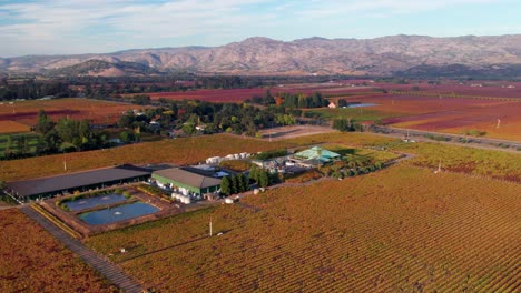 aerial of rolling mountains and colorful vibrant landscapes of vineyards in the napa valley california