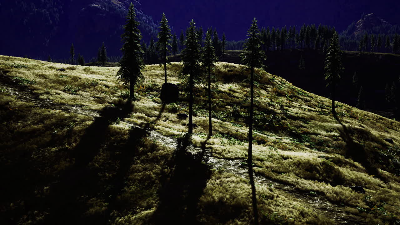 Hikers explore a serene forest landscape bathed in morning light
