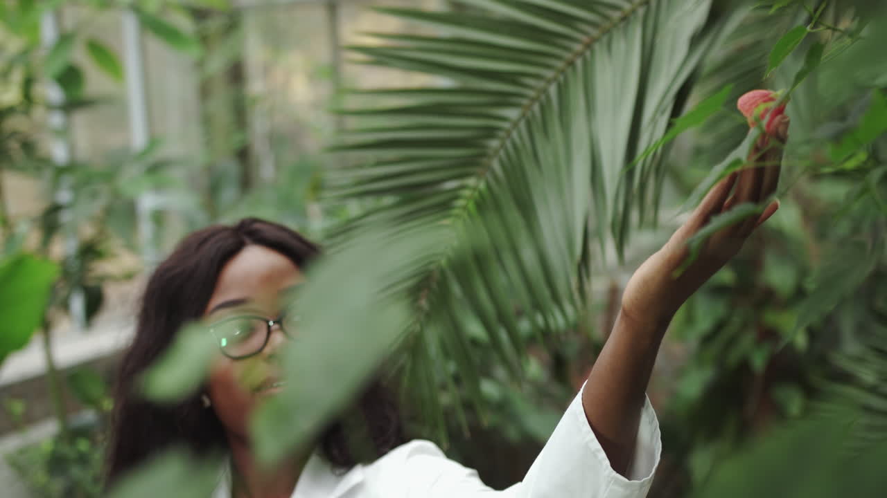 Biologo o scienziato concentrato che lavora in un giardino botanico controllando alberi e piante: il concetto