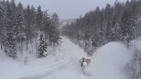 a tractor through snow-blanket rural road with dense conifer trees