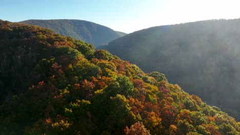 rising aerial reveal of colorful fall foliage and tree leaves