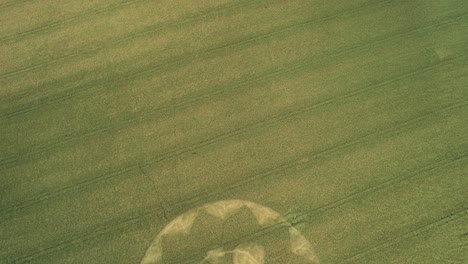 Top-Down-View-Of-Crop-Circle-In-The-Field-In-Sutton-Scotney,-Hampshire,-England---aerial-drone-shot