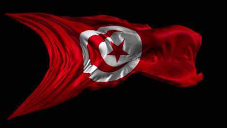 waving flag of tunisia