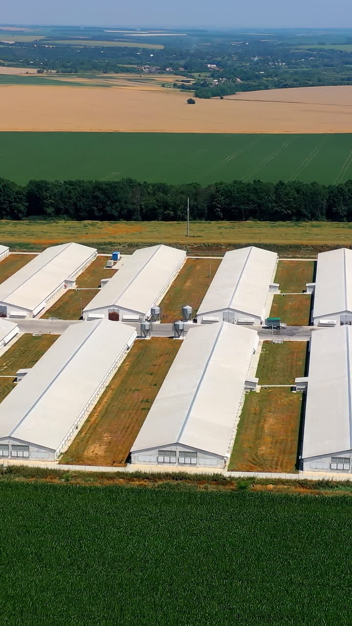 White hangars on a modern farm. Agricultural complex with barn buildings for livestock surrounded by beautiful summer nature. Aerial view. Vertical video