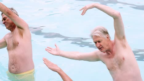 seniors performing exercise in swimming pool