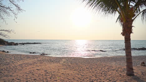 morning sun above empty sandy tropical beach, coconut trees and endless horizon