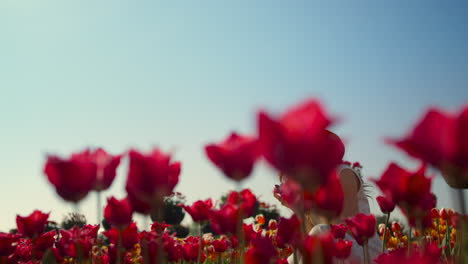 Mujer-Joven-Tomando-Fotografías-De-Flores.-Fotógrafa-Sentada-En-La-Pradera.