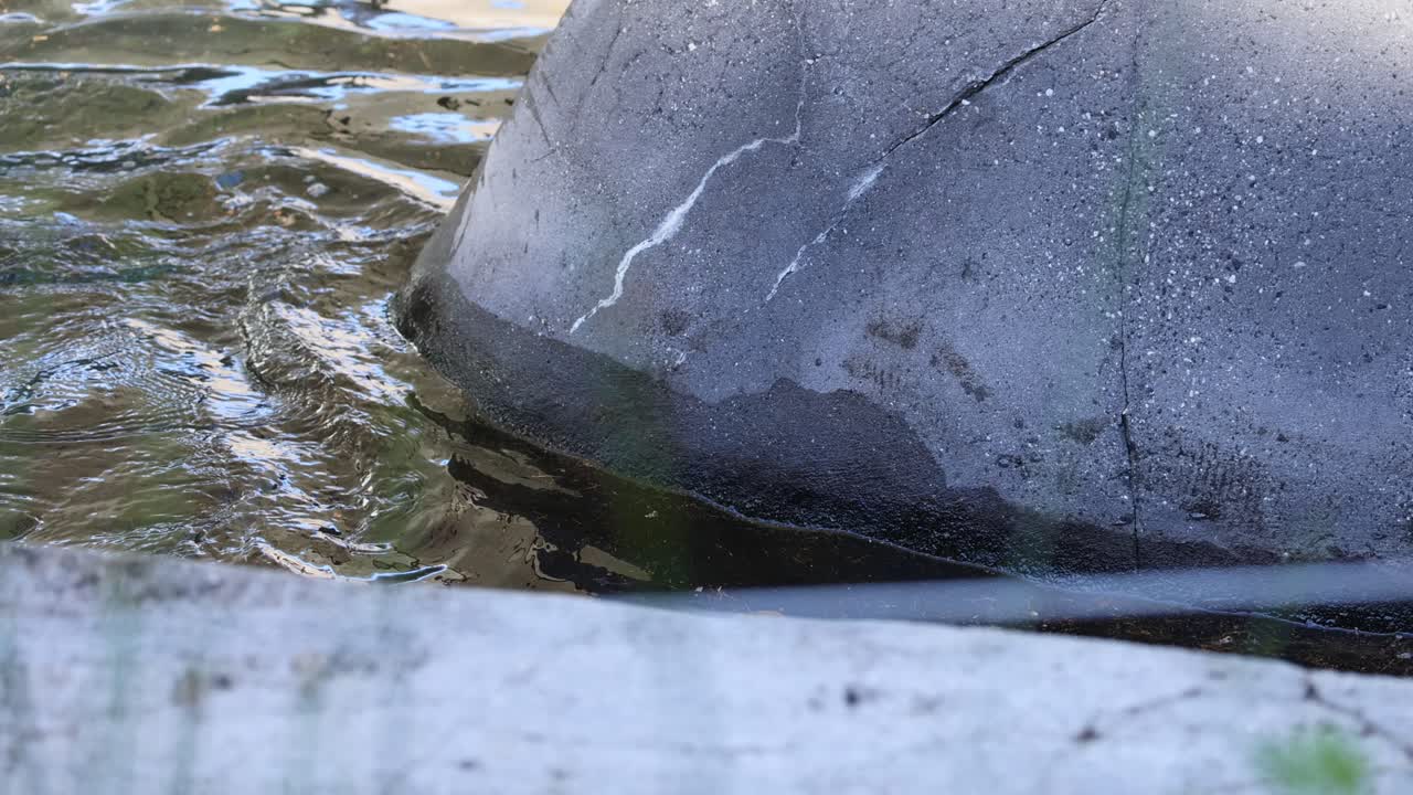 큰 바위에 부히는 물의 파도