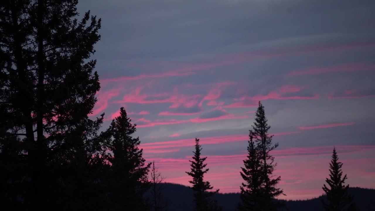 Langsom panorering af en lyserød solnedgang med silhuetten af træer i en skov