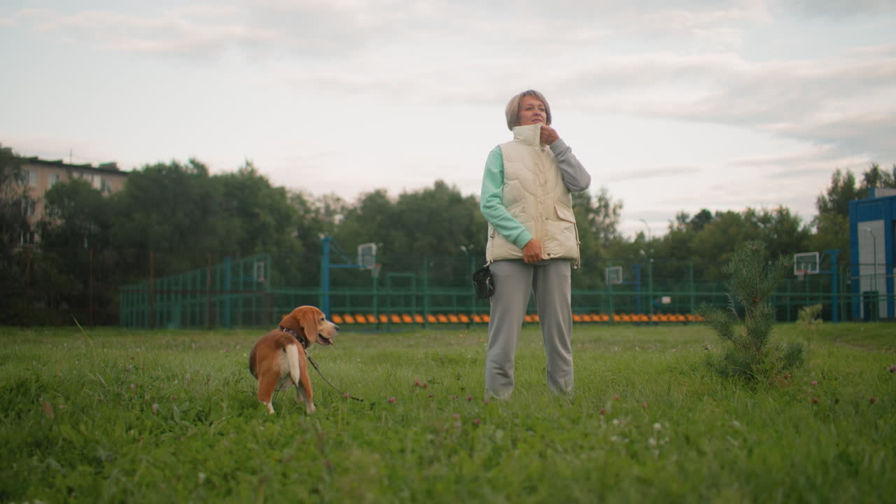 Canine specialist in mint green hoodie and yellow jacket zipping up while standing in grassy park as loyal beagle dog patiently watches, both preparing calmly for next outdoor training session