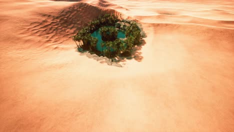 top down aerial view of oasis in desert