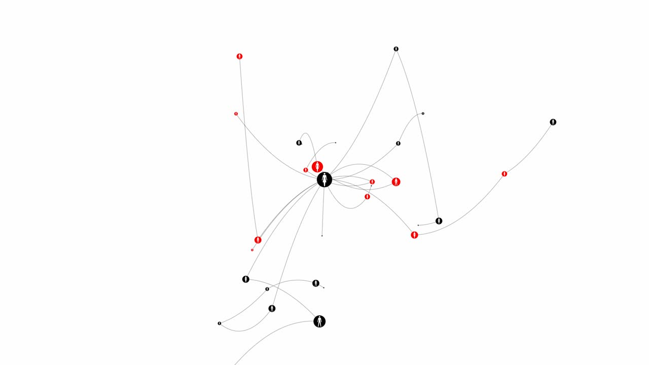 Social network connection diagram.