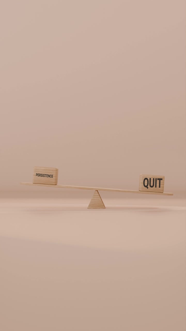 VERITCAL VIDEO OF PERSISTENCE AND QUIT BALANCING ON SEESAW