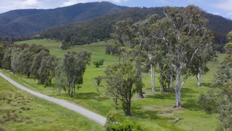 discover the breathtaking beauty of australia's untamed wilderness