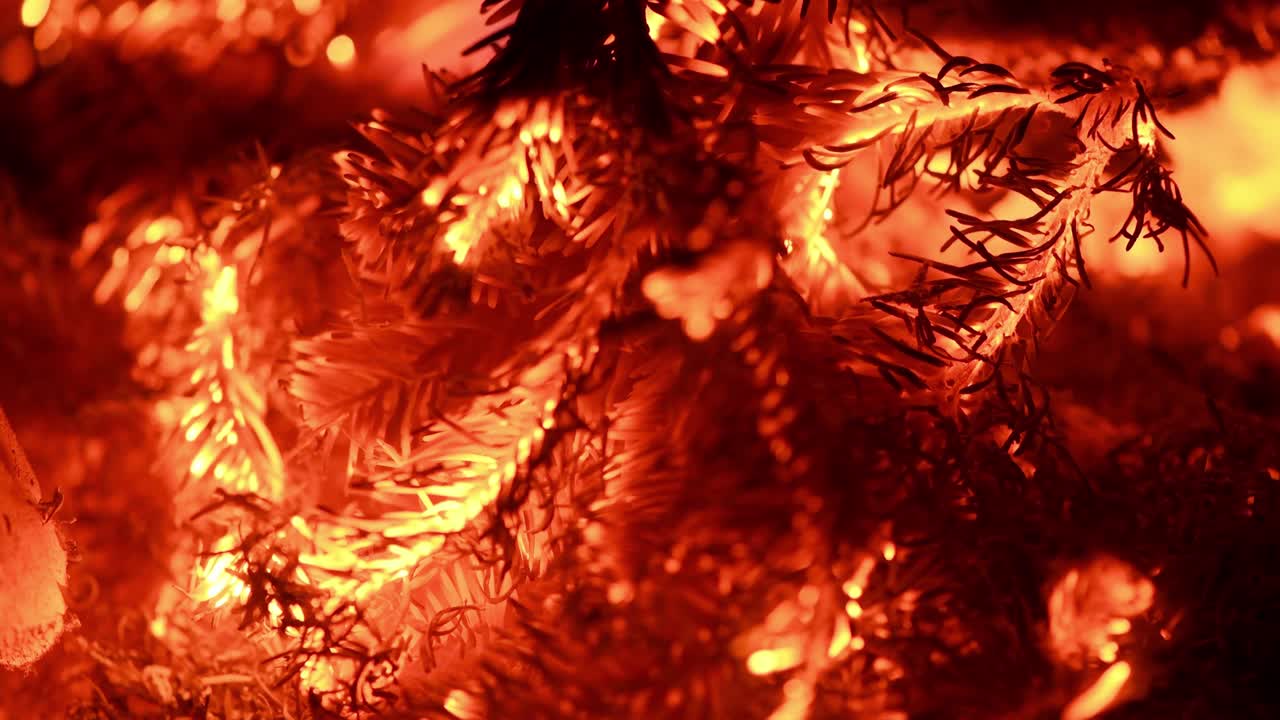 불빛의 오렌지색과 은색의 불꽃의 질감, 걱거리는 크리켓의 소리, 으로 볼 때.