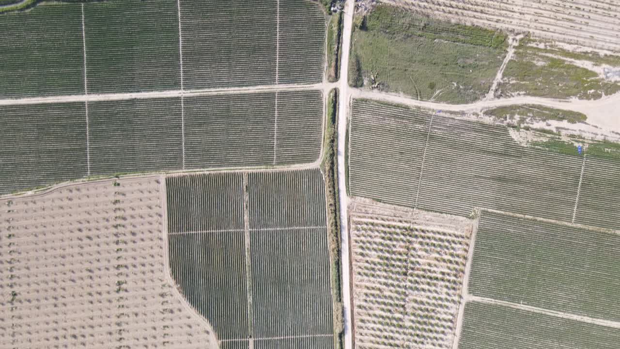 campos verdes en una amplia llanura