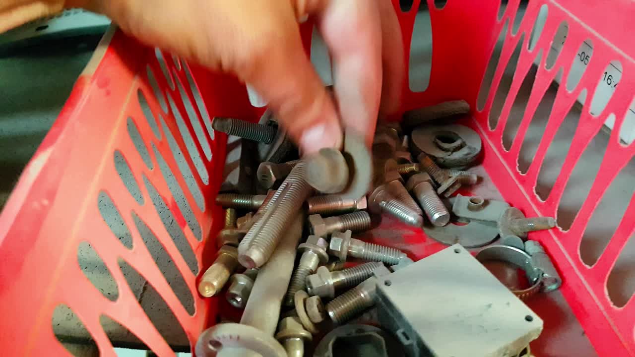 여러 가지 견과류가 담긴 상자를 뒤져요 - 볼트