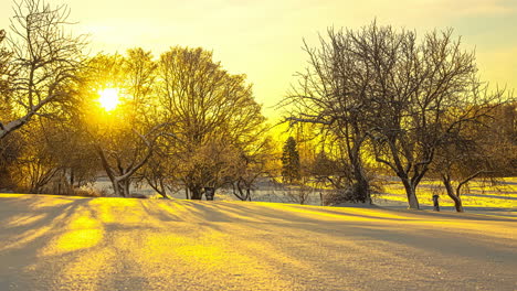 time lapse shot of golden sunrise behind leafless trees and snowy farm fields in the morning - beautiful nature scene during winter